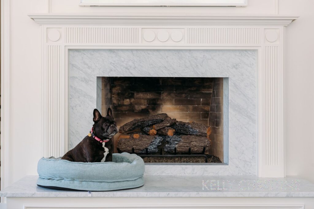 Recent picture of a project of a modern custom home with a hand crafted fireplace with custom moulding and a cute pet dog by fireplace built by Gillis Custom Homes in Dallas Texas